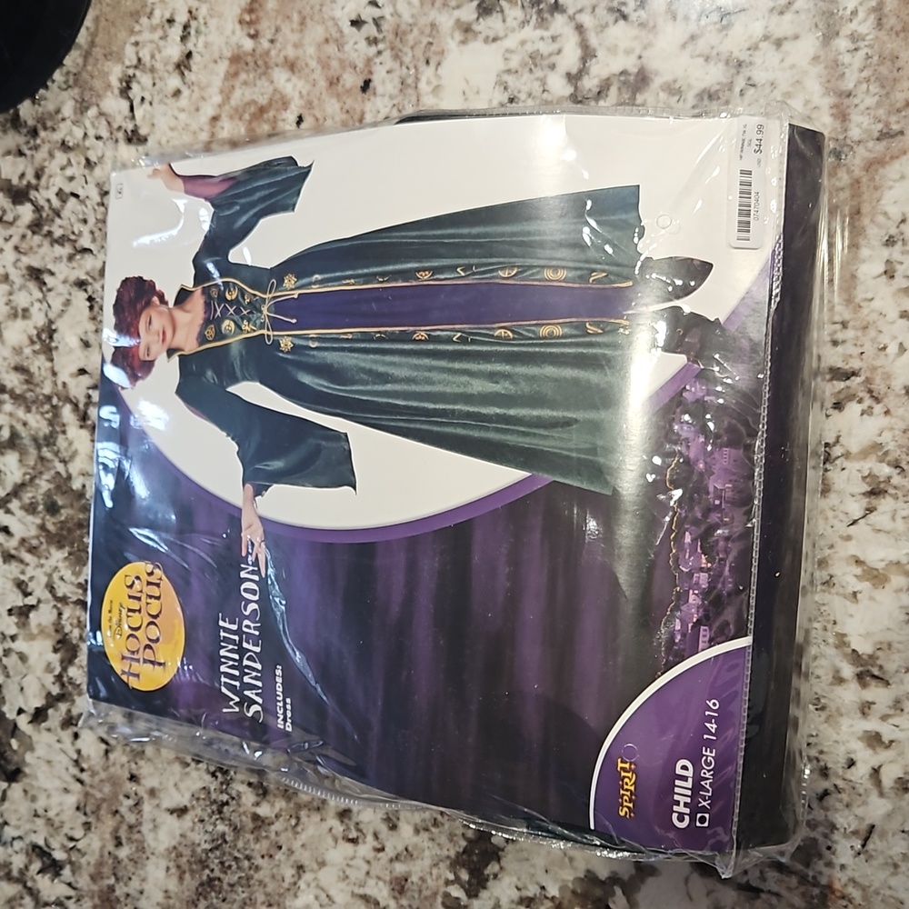 CHILD WINNIE SANDERSON COSTUME